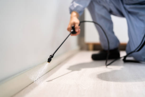 Licensed Cockroach Control service in Glouster, OH - Nex Pest Control