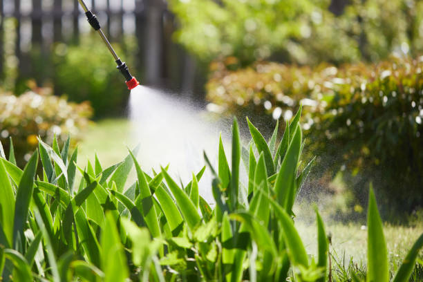 24/7 Emergency Cockroach Control experts in Glouster, OH