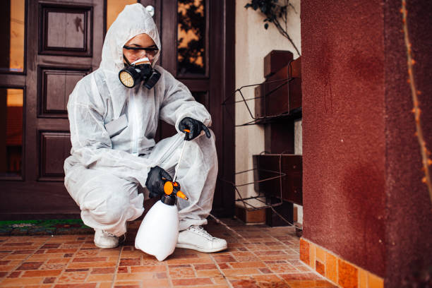 Reliable Cockroach Control contractor in Glouster, OH by Nex Pest Control